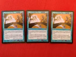 Carte Magic MTG Exode - Disparition progressive x3 FR EX - Image 1