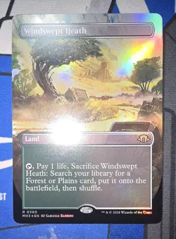 MTG - Modern Horizons 3 - Windswept Heath (Borderless) #0360 - Near Mint Foil - Image 1