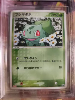 Pokemon Card Bulbasaur Bisasam ADV Promo Black Star Magma Japanese BGS Beckett 8 - Image 3