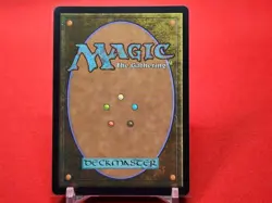 Lulu, Stern Guardian (Borderless) (Chocobo Track Foil) Commander: Final Fanta NM - Image 2