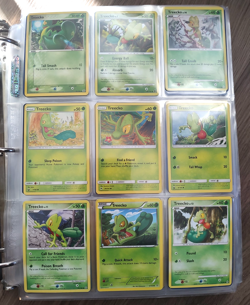 Pokemon Generation 3 (Hoenn) Binder set Mostly Non-Holos Mixed Condition (Video) - Image 1