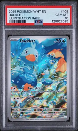 Pokemon Ducklett 109/086 2025 Sv: White Flare Illustration Rare Holo PSA 10 - Image 3