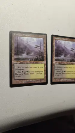 Llanowar Wastes X 2 Apocalypse - Image 2