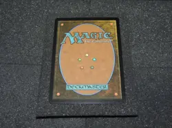 mtg lorwyn eclipsed hallowed fountain 0265 non played - Image 2