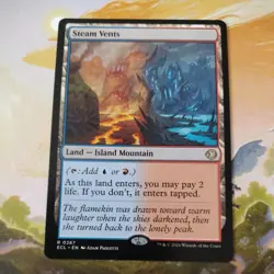 Magic the Gathering-Lorwyn Eclipsed/Steam Vents 267 REGULAR - Image 1