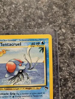 Pokemon TCG Tentacruel 10/18 Southern Islands Promo 2001 – Near Mint - Image 2