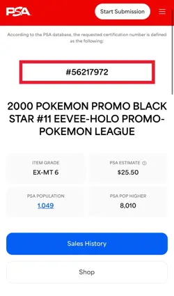 Eevee Holo Black Star Promo - PSA 6 - Pokemon 11/53 Wotc #11 - Image 4