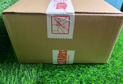 Marvel Spider-Man MTG Play Booster Display Case 6 Boxes - Image 3