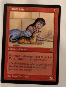 Jackal Pup - Magic the Gathering MTG Tempest Nice! - Image 1