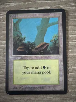 Forest (A) Alpha Edition Magic The Gathering Card NM - Image 1