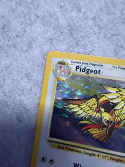 Pidgeot 8/64 Jungle Set Holo Rare Pokemon Card Nintendo Pokemon TCG WOTC 1999 - Image 5