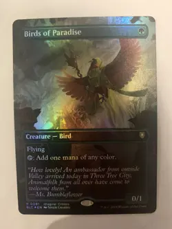 Birds of Paradise (Borderless) Commander: Bloomburrow Foil - Image 1