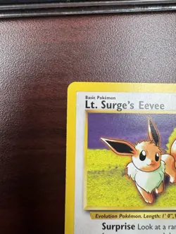 Lt. Surge's Eevee 51/132 Uncommon Gym Challenge 2000 Pokemon LP+ - Image 3