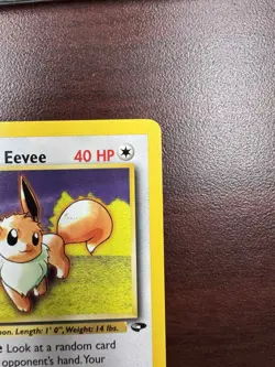 Lt. Surge's Eevee 51/132 Uncommon Gym Challenge 2000 Pokemon LP+ - Image 4