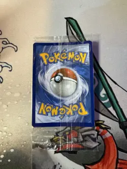 Pokemon: Greninja Black Star Promo SWSH144 Celebration Sword&Shield Holo SEALED - Image 3