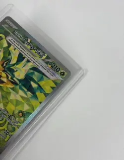 Pokemon Teal Mask Ogerpon ex 211/167 Sv06: Twilight Masquerade - Image 3