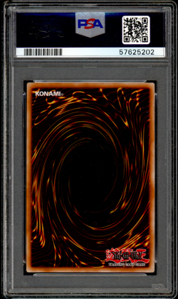 PSA 7 YU-GI-OH! NECH-EN053 DARK REBELLION XYZ DRAGON NECH 2014 GHOST RARE - Image 2