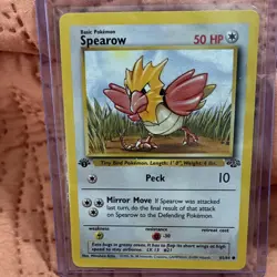 Pokemon TCG Jungle 1st Edition Wigglytuff Eevee Ditto Spearow 4 Card Lot 1999 NM - Image 5