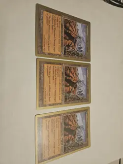 Wasteland - 1998 Ben Rubin (TMP) World Championship Decks Regular - Image 1