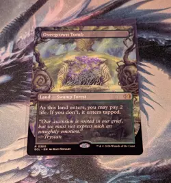 M.T.G. Lorwyn Eclipsed Overgrown Tomb Borderless Regular M/NM - Image 1