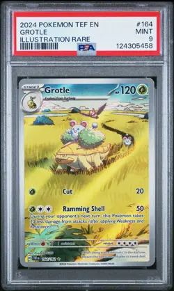 2024 POKEMON TEF EN-TEMPORAL FORCES 164 GROTLE ILLUSTRATION RARE - PSA 9 - Image 1