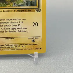 Pikachu 60/64 - Jungle - 1st Edition - Pokemon TCG - Image 5