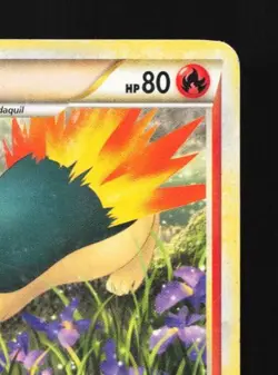 Quilava 49/95 HP Call of Legends English Pokemon Card TCG - Image 5