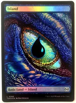 FOIL Island (0288) #288 (NM) Tarkir Dragonstorm TDM Magic MTG - Image 1