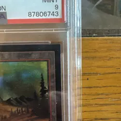 1993 Magic: the Gathering ✨MOUNTAIN✨ CE PSA 9 MtG WOTC - Image 3