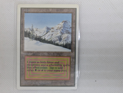 Taiga Unlimited Edition Dual Land - Image 1