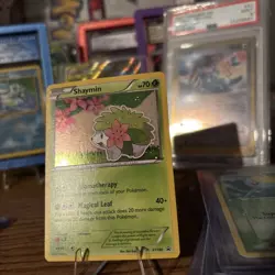 Shaymin Full Holo XY188 Pokemon XY Promo - Image 3