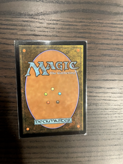 Verdant Catacombs (Foil Zendikar Rising Expidition) NM - Image 2