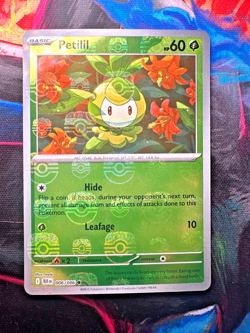 Petilil (Master Ball Pattern) 006/086 Sv: Black Bolt Holo - Near Mint - Pokemon - Image 1