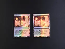 Private Listing for dolphuns 2x Blood Crypt FOIL HP/DMG [Dissension] - Image 2