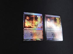 Private Listing for dolphuns 2x Blood Crypt FOIL HP/DMG [Dissension] - Image 5