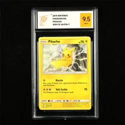 TQG 9.5 MINT+ 2019 Pokemon ENG Pikachu 66/236 C - Image 1