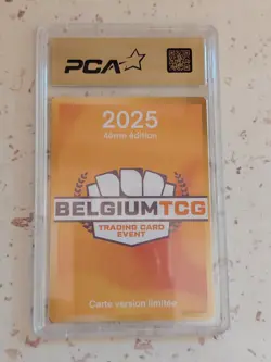 Pokemon : * BELGIUM TCG 2025 * Carte collector * DAYLIGHT * PCA BTCG - Edition 4 - Image 5