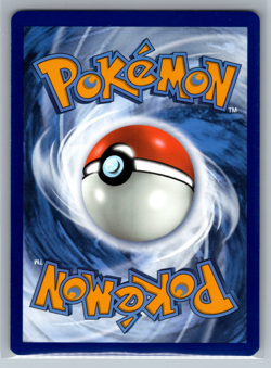 Pokemon Gengar - SWSH241 - Black Star Promo - Lost Origin Prerelease STAMP NM 05 - Image 2