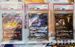 Pokemon- Graded 10 lot of 3, Raiku V, Entei V, Suicune V Japanese full art. 636996769739 - Image 1