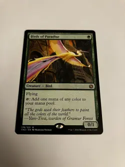 Birds Of Paradise, Conspiracy: Take The Crown - Image 1