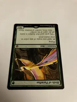 Birds Of Paradise, Conspiracy: Take The Crown - Image 2