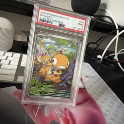 2025 Pokemon White Flare Scraggy #138/086 Illustration Rare PSA 9 MG3 - Image 2