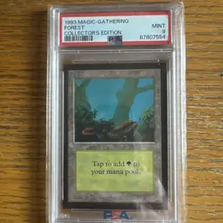 1993 MtG ✨FOREST Lands✨ Magic: the Gathering CE PSA 9 - Image 1
