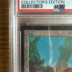 1993 MtG ✨FOREST Lands✨ Magic: the Gathering CE PSA 9 - Image 2