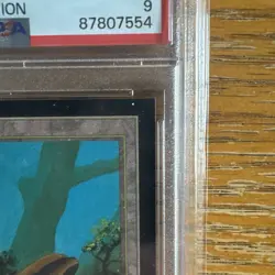 1993 MtG ✨FOREST Lands✨ Magic: the Gathering CE PSA 9 - Image 3