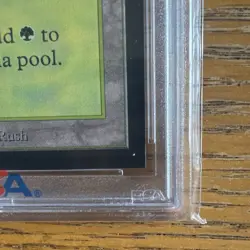 1993 MtG ✨FOREST Lands✨ Magic: the Gathering CE PSA 9 - Image 4