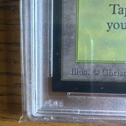 1993 MtG ✨FOREST Lands✨ Magic: the Gathering CE PSA 9 - Image 5