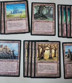 Lot of Fallen Empires Lands LP NM MTG - Image 5