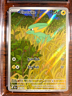 Electrike Illustration Rare #196 - CGC GEM MINT 10 - Destined Rivals - Pokemon - Image 2