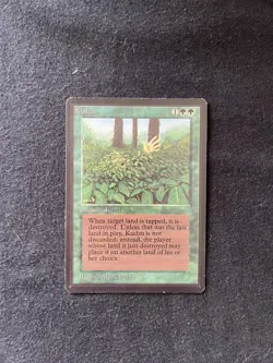Magic the Gathering Kudzo Beta NM to LP - Image 1